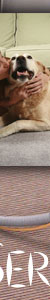 Cheap Carpet Cleaning