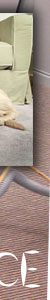 Carpet And Upholstery Cleaning
