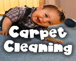 carpet cleaner in friendswod texas