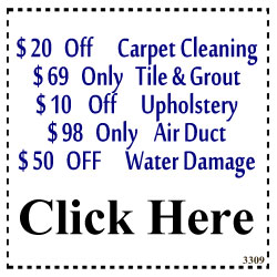 carpet cleaner coupon in friendswood texas
