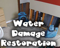 water damage restoration in friendswod texas